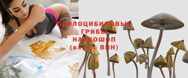каннабис Богданович