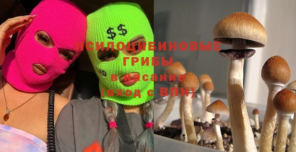 ALPHA PVP Богородицк