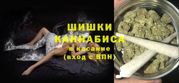 дживик Пересвет