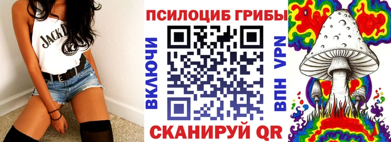 Галлюциногенные грибы GOLDEN TEACHER  наркошоп  Новоузенск 